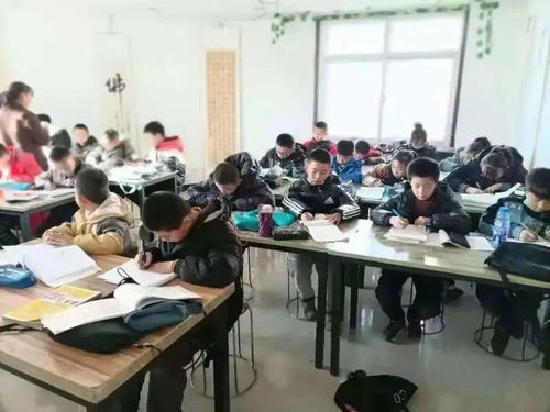 靖邊河東翰藝書法培訓中心寒假招生啟動，早報享優惠